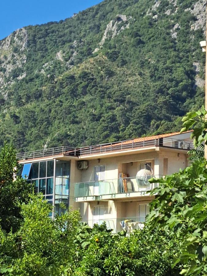 Apartments With Sea View In Prcanj Kotor Eksteriør billede